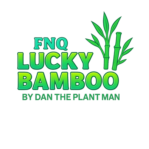 lucky bamboo corporation Silver Streak Lucky Bamboo – 6 Cuttings Starter Pack